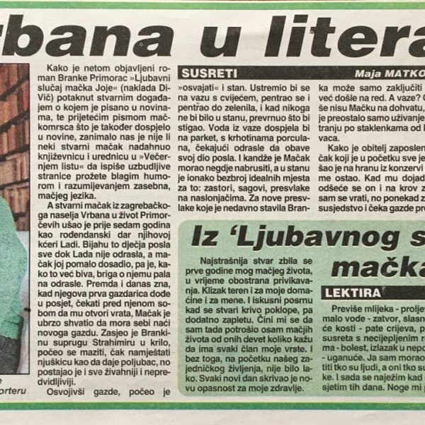 Sve zbog ane orilog vrt, vl a,